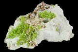 Vibrant Green Pyromorphite Crystal Cluster - China #128579-2